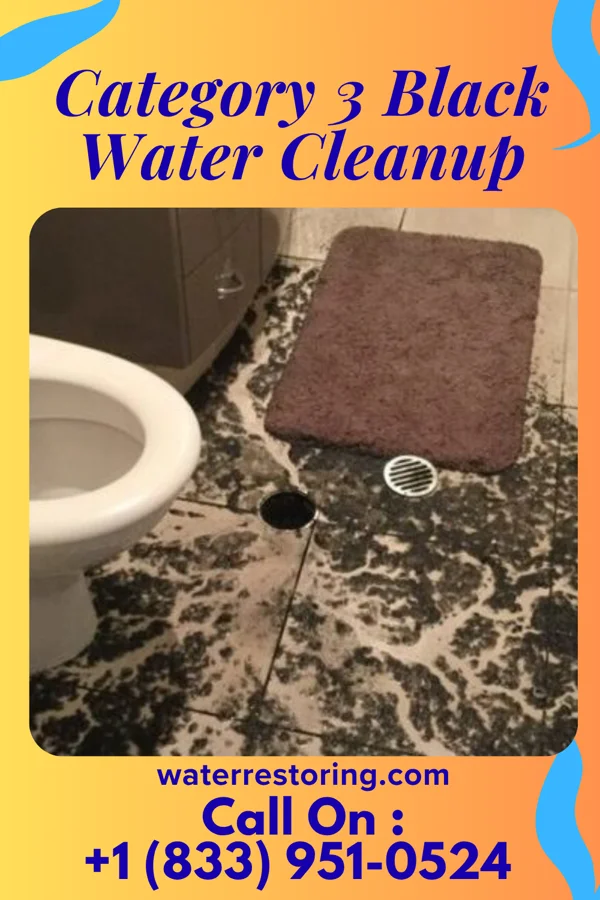 Category 3 Black Water Cleanup in Garden View, PA