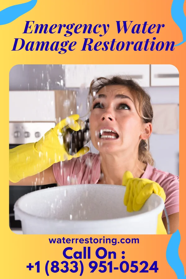 Emergency Water Damage Restoration in Garden View, PA