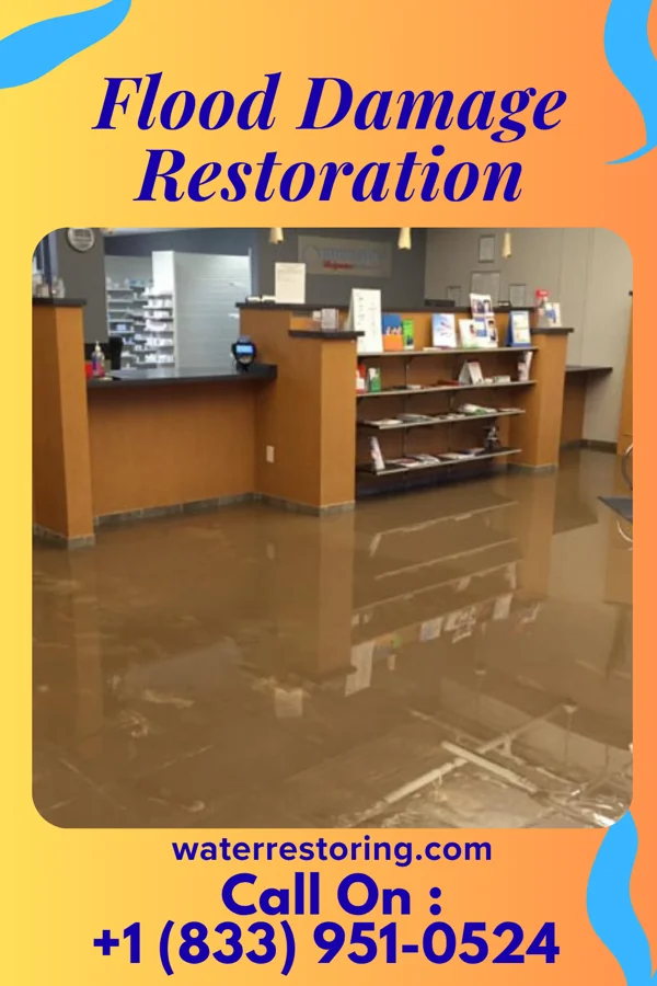 Flood Damage Restoration in Garden View, PA
