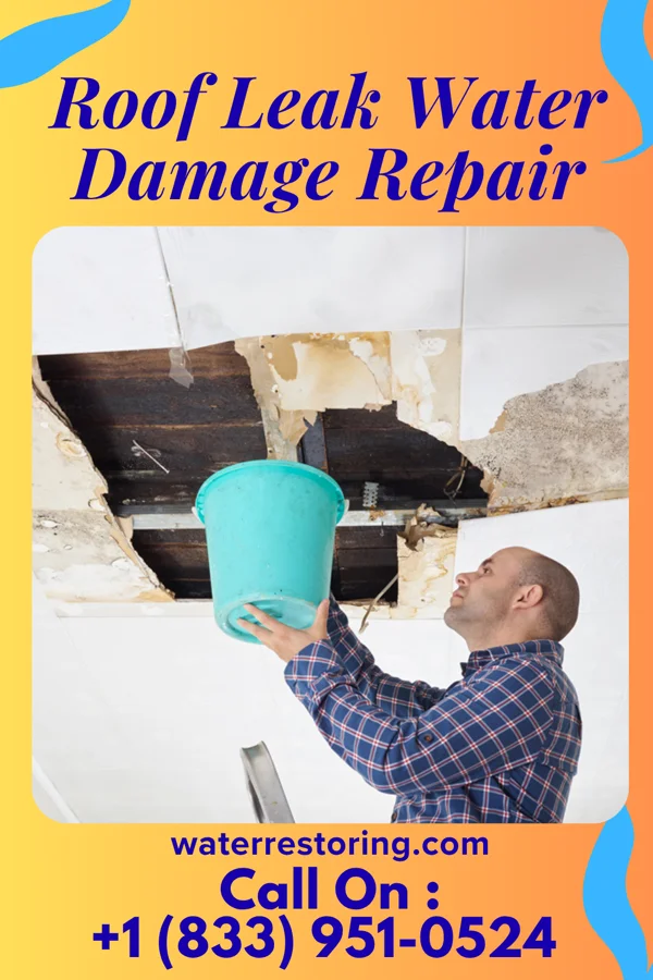 Roof Leak Water Damage Repair in Garden View, PA