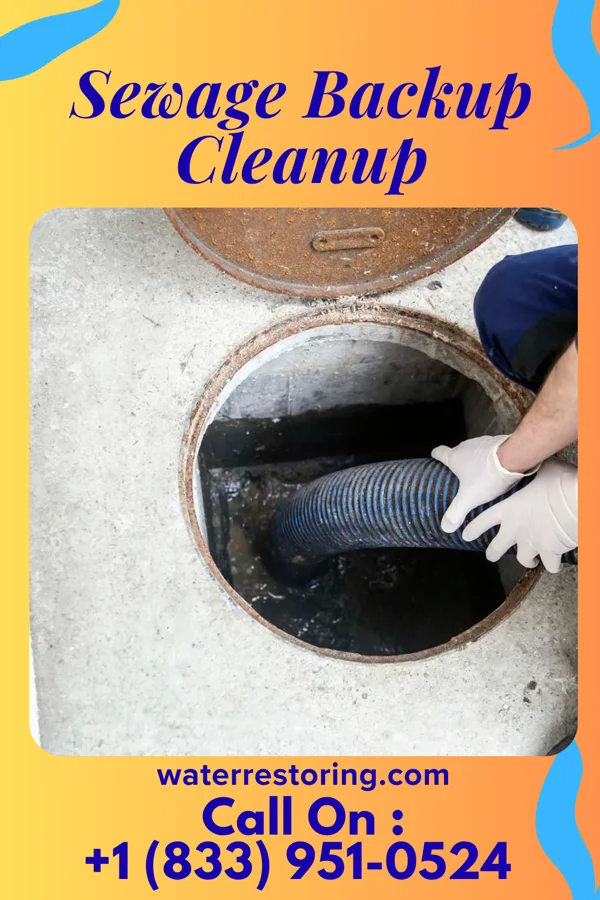 Sewage Backup Cleanup in Garden View, PA